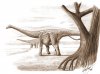Палеонтологи еще раз подвердили - Magyarosaurus dacus был карликовым динозавром