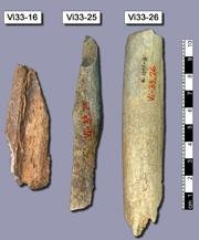 Еще одно подтверждение - люди  и неандертальцы скрещивались друг с другом